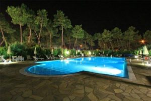 5 Types of Trees to Avoid Planting Near a Pool - HGP and Spas